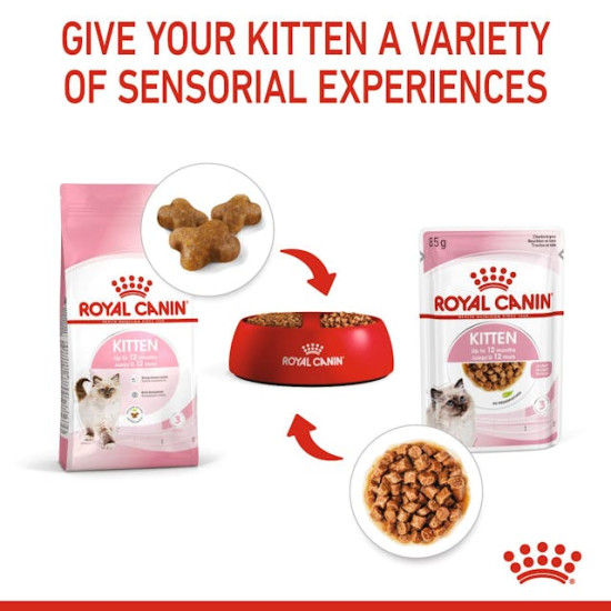 Royal Canin Kitten – Hrană Umedă Premium pentru Pisici Tinere, în Sos, 85 g